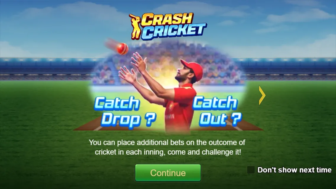 Crash Cricket game interface screenshot 2